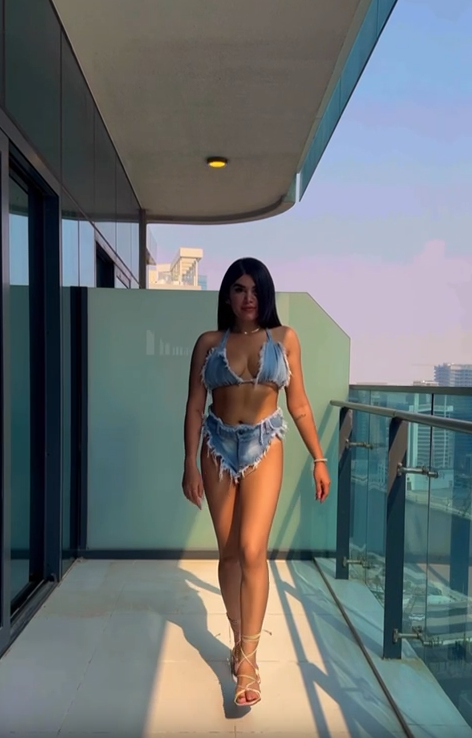 Video preview